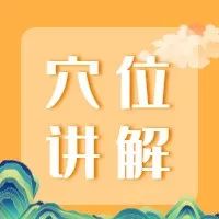 【中医培训●穴位讲解】