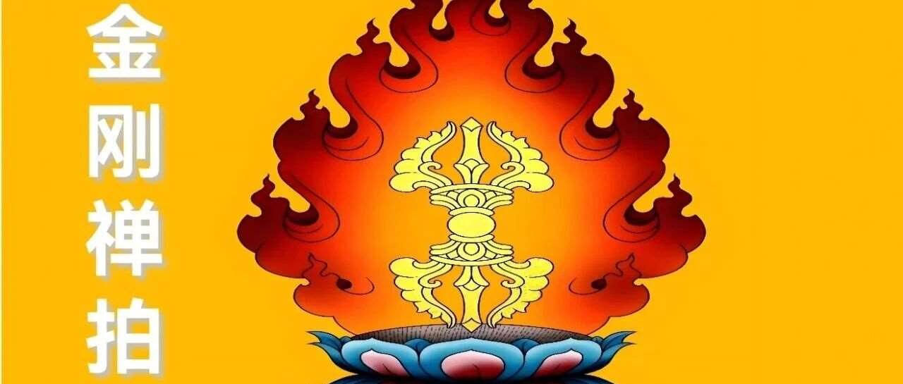 【第一期金刚禅拍集训班】