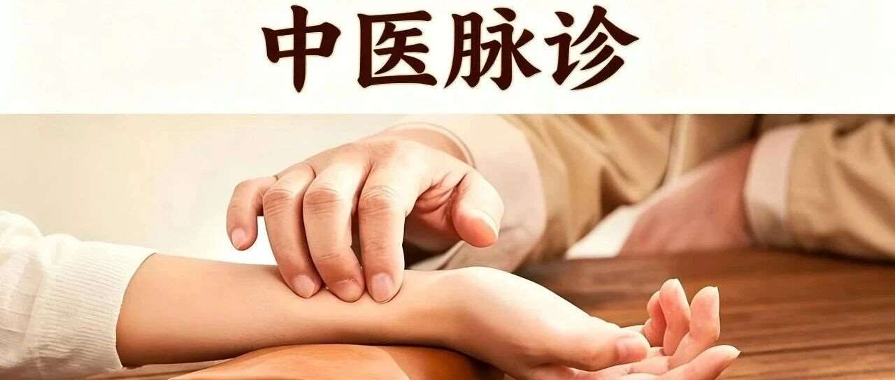 【中医培训●脉诊】