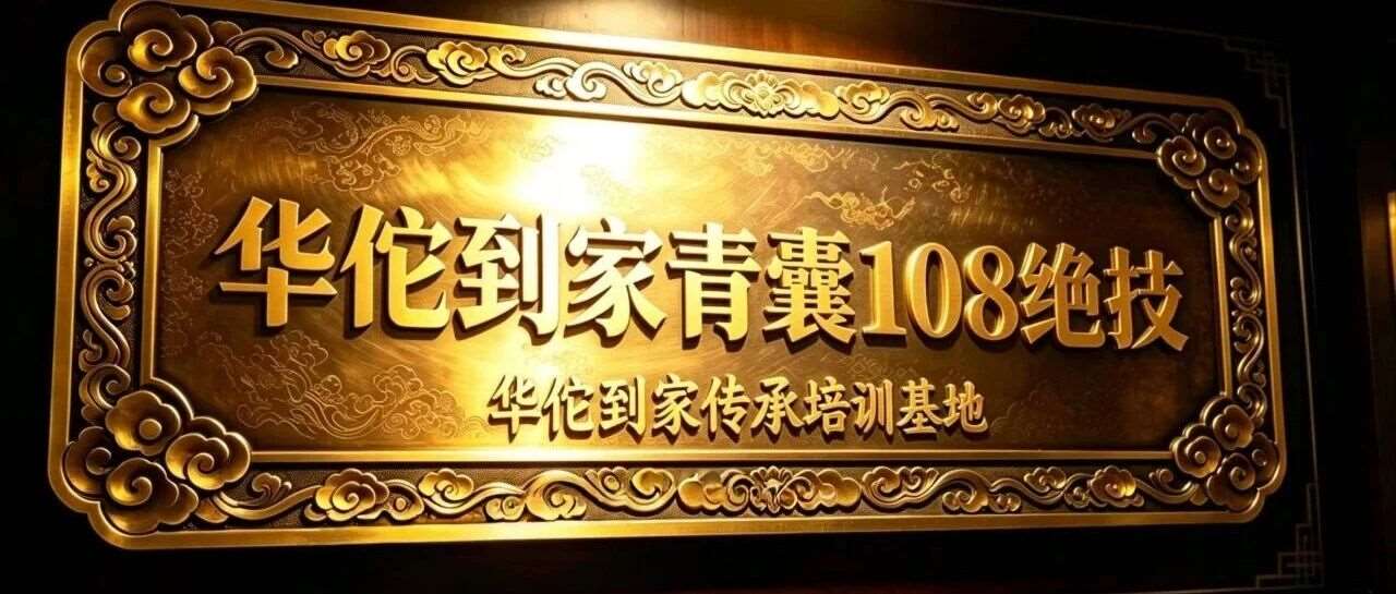 华佗到家青囊非遗108绝技